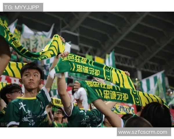 北京排球队心理素质引发热议球迷与专家观点交锋探讨竞技心理的重要性