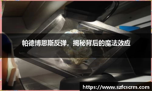 BANDAO半岛体育官网