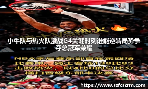 小牛队与热火队激战G4关键时刻谁能逆转局势争夺总冠军荣耀